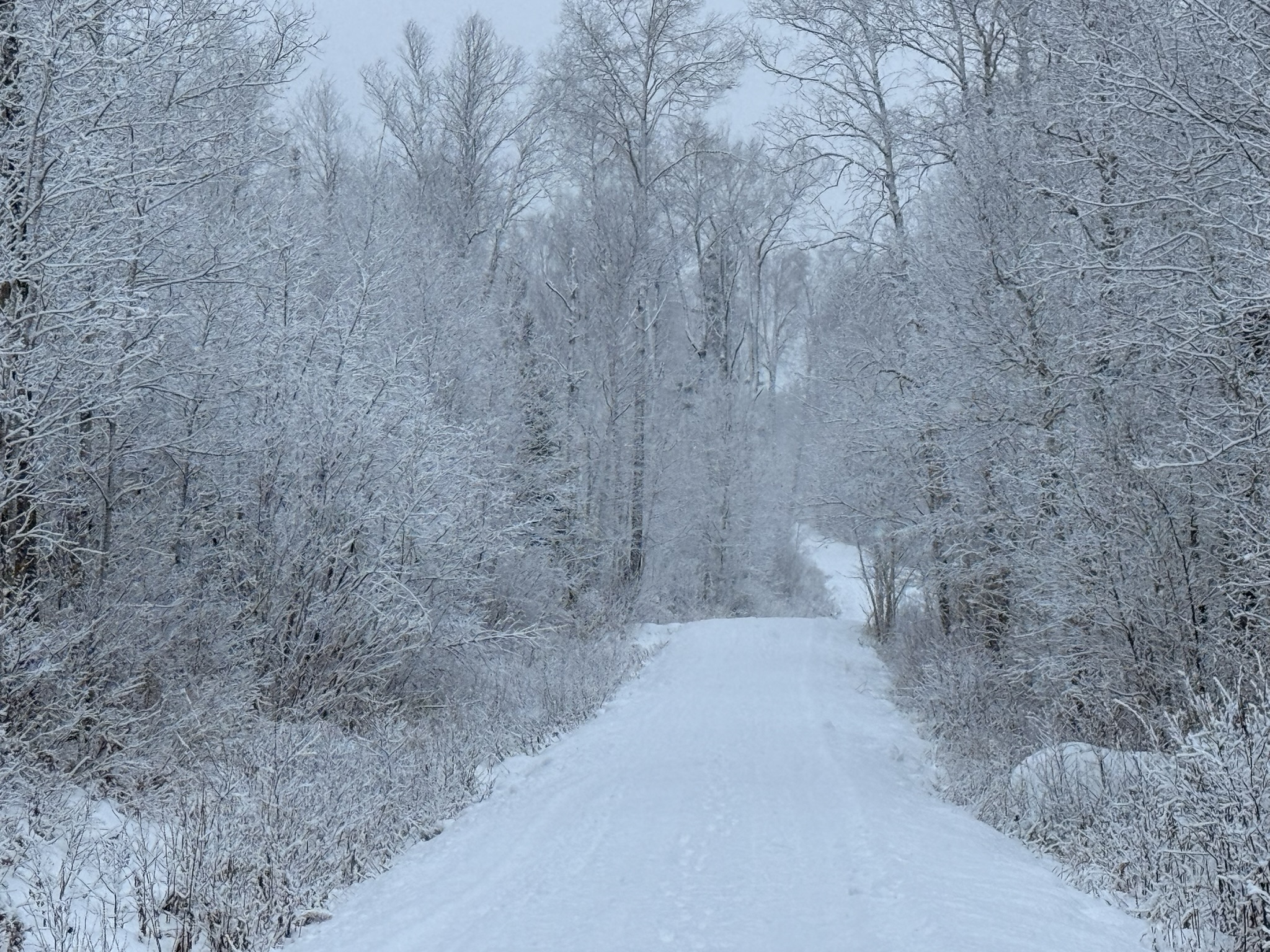 Sentier NaturÔpattes en hiver