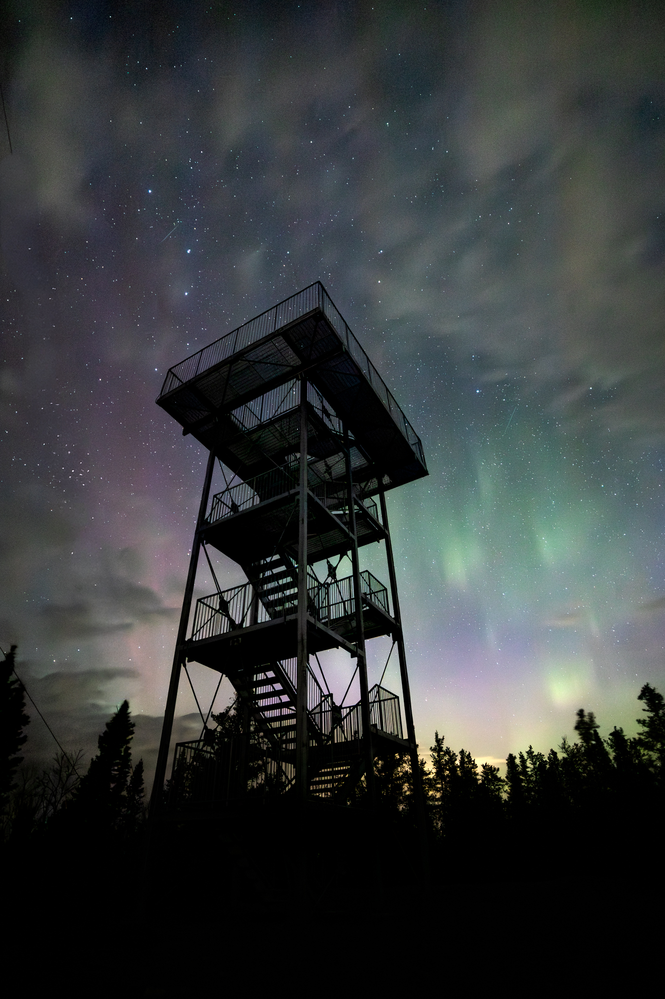 Belvédère de la forêt Askikwaj sous les aurores boréales